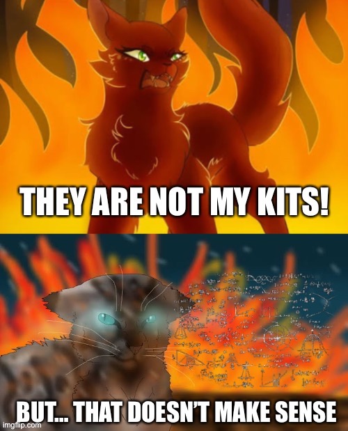 That doesn’t make sense | image tagged in warrior cats | made w/ Imgflip meme maker