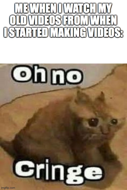 oH nO cRInGe | ME WHEN I WATCH MY OLD VIDEOS FROM WHEN I STARTED MAKING VIDEOS: | image tagged in oh no cringe | made w/ Imgflip meme maker