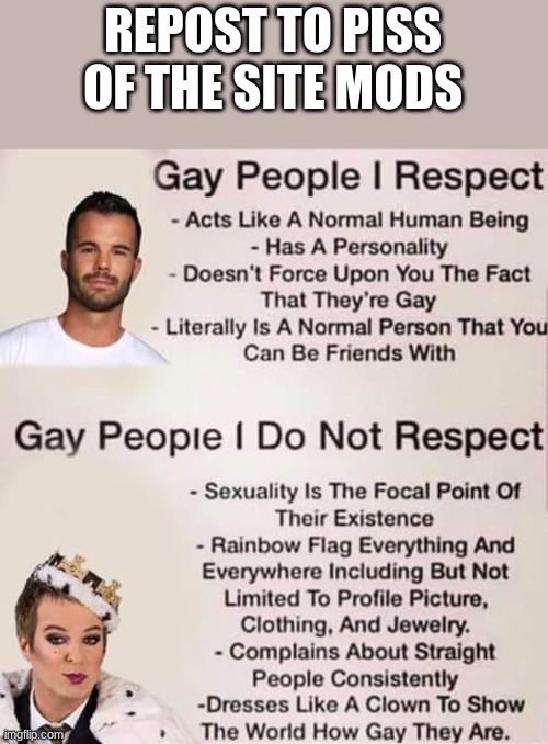 REPOST TO PISS OF THE SITE MODS | made w/ Imgflip meme maker