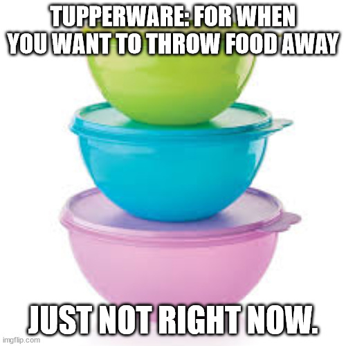 Hard Truths | TUPPERWARE: FOR WHEN YOU WANT TO THROW FOOD AWAY; JUST NOT RIGHT NOW. | image tagged in tupperware,funny,humor,fun | made w/ Imgflip meme maker