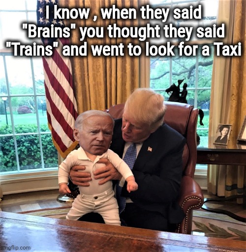 An old joke , but so is our President | I know , when they said "Brains" you thought they said "Trains" and went to look for a Taxi | image tagged in trump and baby biden,incompetence,playing dumb,which side are you on,pedophile,politicians suck | made w/ Imgflip meme maker