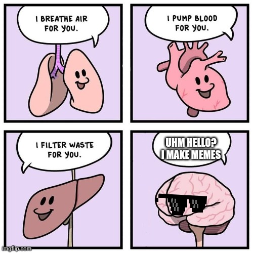 organs and brain | UHM HELLO? I MAKE MEMES | image tagged in organs and brain | made w/ Imgflip meme maker