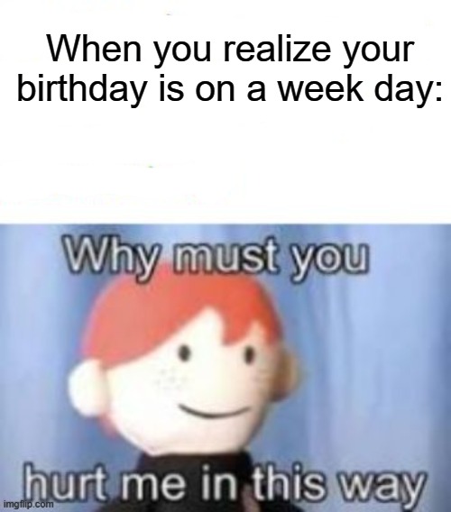 blank why must you hurt me | When you realize your birthday is on a week day: | image tagged in blank why must you hurt me | made w/ Imgflip meme maker