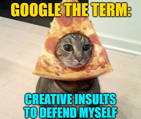 pizza cat | GOOGLE THE TERM: CREATIVE INSULTS TO DEFEND MYSELF | image tagged in pizza cat | made w/ Imgflip meme maker