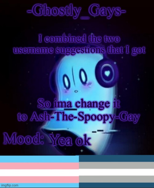 Thanks people r us and heart broken | I combined the two username suggestions that I got; So ima change it to Ash-The-Spoopy-Gay; Yea ok | image tagged in napstablook ghostly gays temp | made w/ Imgflip meme maker