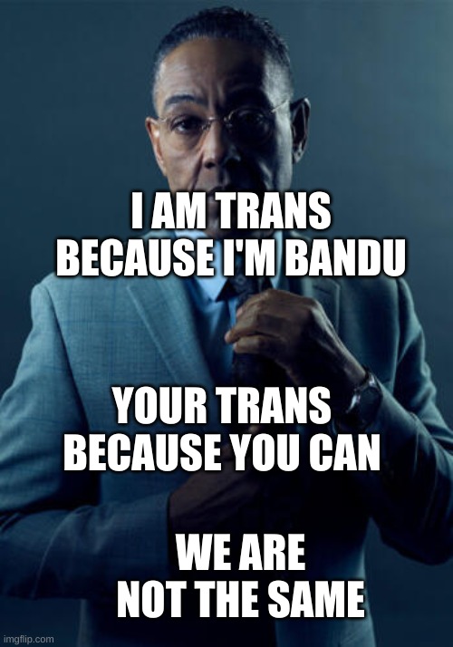 no transphobia here   >:( | I AM TRANS BECAUSE I'M BANDU; YOUR TRANS BECAUSE YOU CAN; WE ARE NOT THE SAME | image tagged in no we are not the same,lgbtq,memes | made w/ Imgflip meme maker