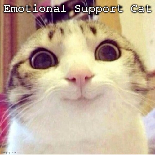 u welcome | Emotional Support Cat | image tagged in happy cat | made w/ Imgflip meme maker