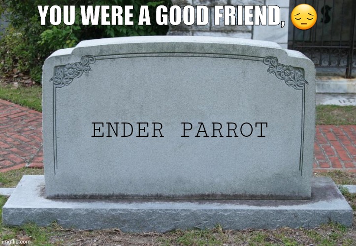 Why :( | YOU WERE A GOOD FRIEND, 😔; ENDER PARROT | image tagged in gravestone | made w/ Imgflip meme maker