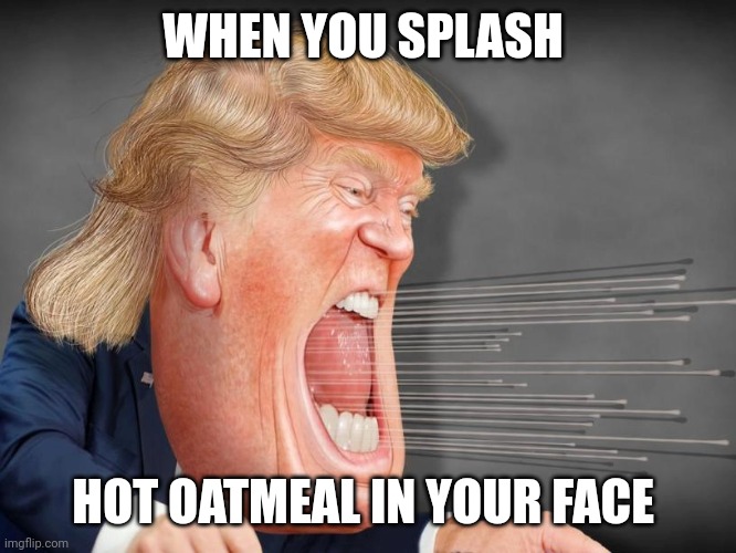 Hot oatmeal in the face be painful | WHEN YOU SPLASH; HOT OATMEAL IN YOUR FACE | image tagged in trump screaming facing right | made w/ Imgflip meme maker