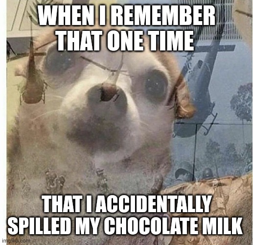 I remember when I spilled my chocolate milk | WHEN I REMEMBER THAT ONE TIME; THAT I ACCIDENTALLY SPILLED MY CHOCOLATE MILK | image tagged in ptsd chihuahua | made w/ Imgflip meme maker