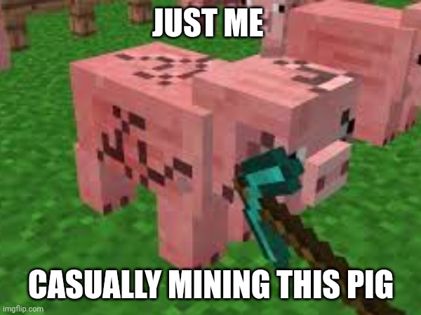 You can mine for pigs now | JUST ME; CASUALLY MINING THIS PIG | made w/ Imgflip meme maker