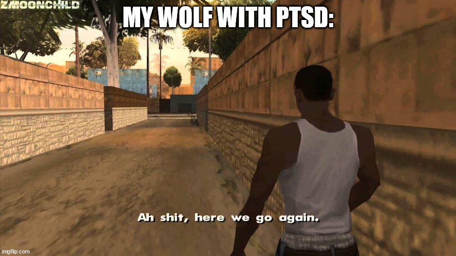 Here we go again | MY WOLF WITH PTSD: | image tagged in here we go again | made w/ Imgflip meme maker