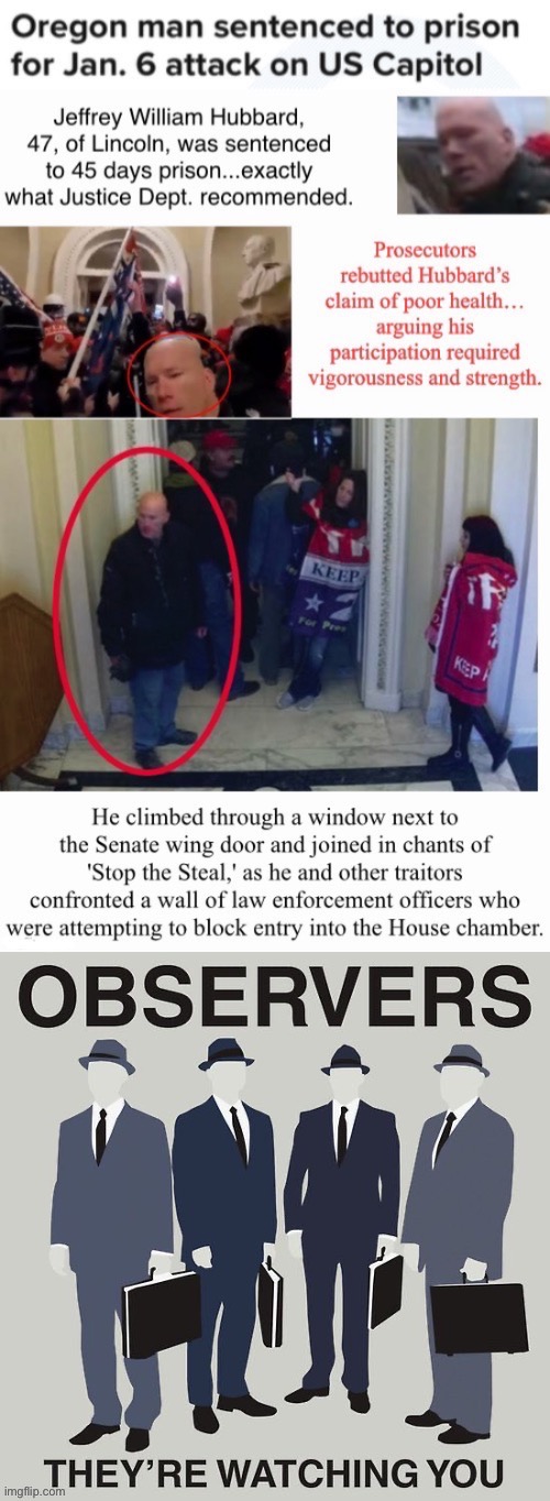 Not An Observer, But A Contributor | image tagged in traitor,treason,terrorist,crybaby,loser | made w/ Imgflip meme maker
