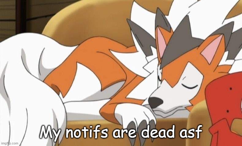 Lycanroc | My notifs are dead asf | image tagged in lycanroc | made w/ Imgflip meme maker