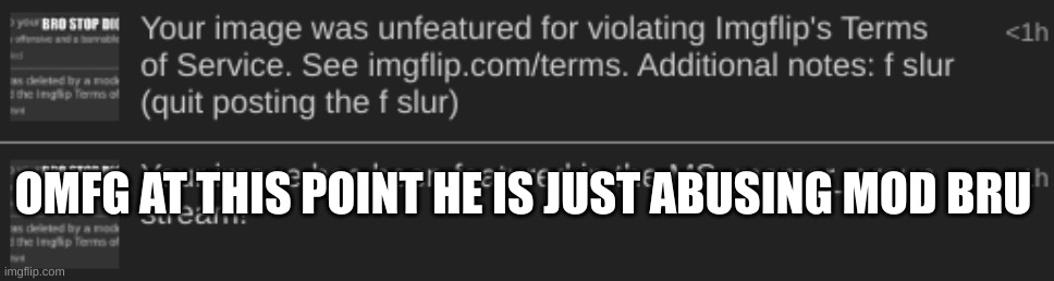 shit didnt even have the f slur | OMFG AT THIS POINT HE IS JUST ABUSING MOD BRU | made w/ Imgflip meme maker