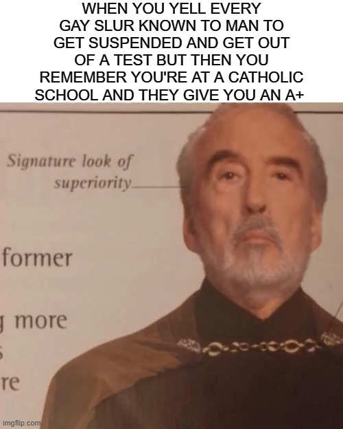 Signature Look of superiority | WHEN YOU YELL EVERY GAY SLUR KNOWN TO MAN TO GET SUSPENDED AND GET OUT OF A TEST BUT THEN YOU REMEMBER YOU'RE AT A CATHOLIC SCHOOL AND THEY GIVE YOU AN A+ | image tagged in signature look of superiority | made w/ Imgflip meme maker