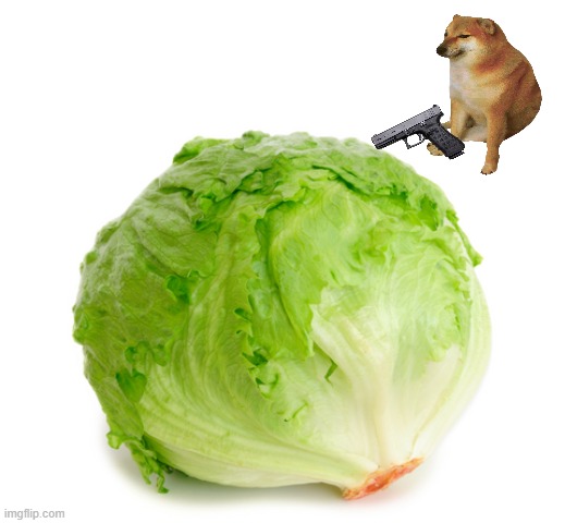 Lettuce  | image tagged in lettuce | made w/ Imgflip meme maker