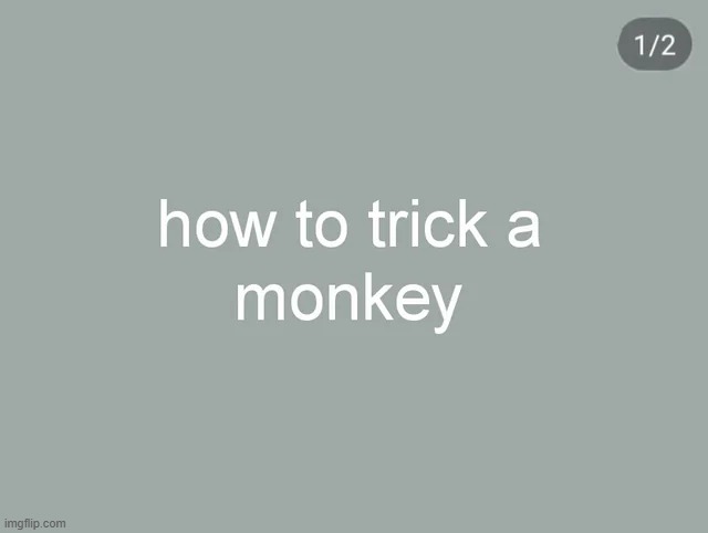 very promising | image tagged in monkey,meems,tutorial,funny,trick,random | made w/ Imgflip meme maker