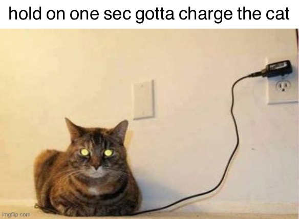 hold on one sec gotta charge the cat | image tagged in bruh,lol,why are you reading this | made w/ Imgflip meme maker