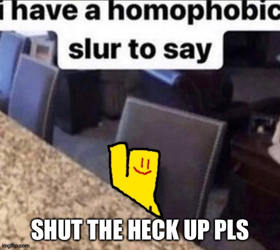 partygoer has a homophobic slur to say | SHUT THE HECK UP PLS | image tagged in partygoer has a homophobic slur to say | made w/ Imgflip meme maker