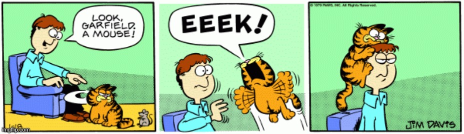 Garfield Comic #5 | image tagged in garfield,comics/cartoons | made w/ Imgflip meme maker
