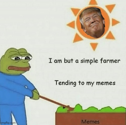 Trump 2024 | image tagged in maga | made w/ Imgflip meme maker