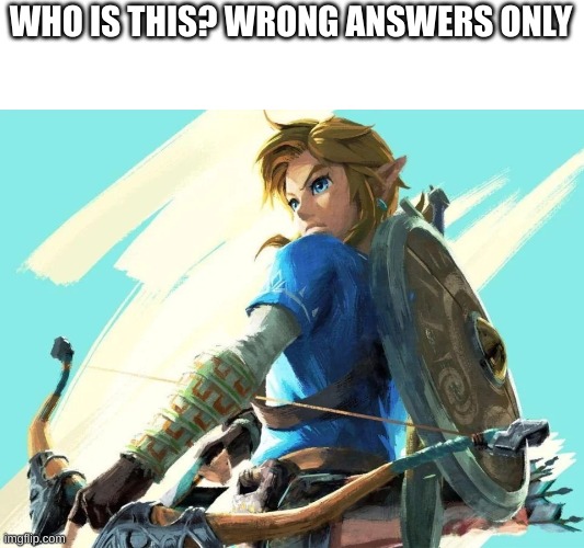 Wrong answers only | WHO IS THIS? WRONG ANSWERS ONLY | image tagged in zelda,legend of zelda,link,wrong answers only | made w/ Imgflip meme maker
