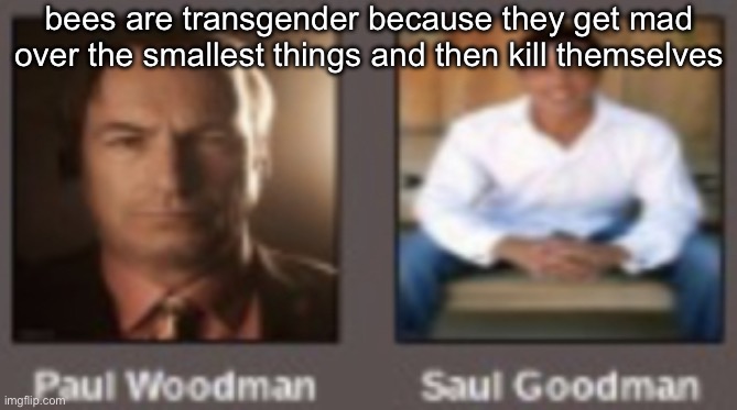 paul vs saul | bees are transgender because they get mad over the smallest things and then kill themselves | image tagged in paul vs saul | made w/ Imgflip meme maker