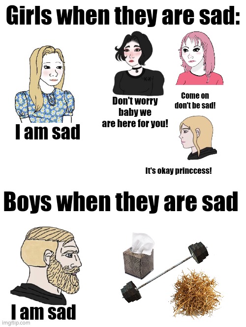  Girls when they are sad:; Come on don't be sad! Don't worry baby we are here for you! I am sad; It's okay princcess! Boys when they are sad; I am sad | image tagged in wojak,girl,boys,chad,tissue,tumbleweed | made w/ Imgflip meme maker