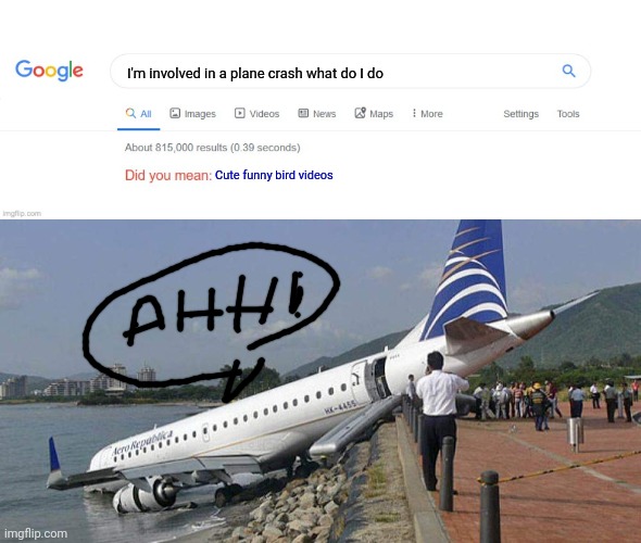 Ahhhhhh a little bird video won't hurt | I'm involved in a plane crash what do I do; Cute funny bird videos | image tagged in did you mean,aero republica flight 7330 | made w/ Imgflip meme maker