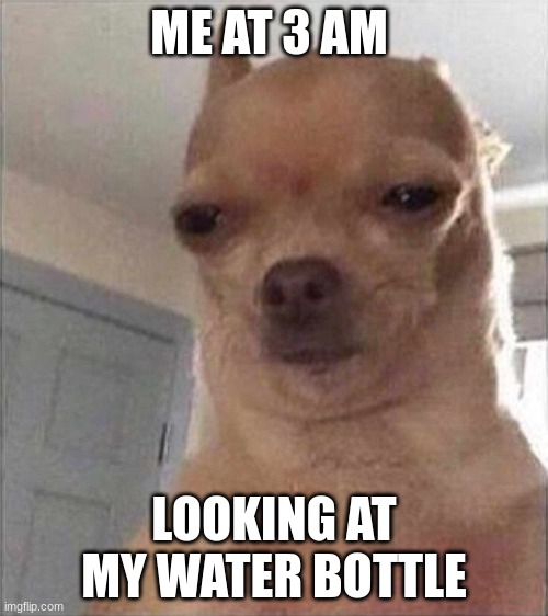 Chihuahua Meme Face | ME AT 3 AM; LOOKING AT MY WATER BOTTLE | image tagged in chihuahua meme face | made w/ Imgflip meme maker