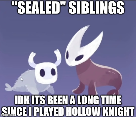 "SEALED" SIBLINGS; IDK ITS BEEN A LONG TIME SINCE I PLAYED HOLLOW KNIGHT | image tagged in hollow knight | made w/ Imgflip meme maker