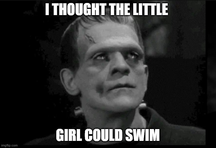 appology | I THOUGHT THE LITTLE; GIRL COULD SWIM | image tagged in swim error | made w/ Imgflip meme maker