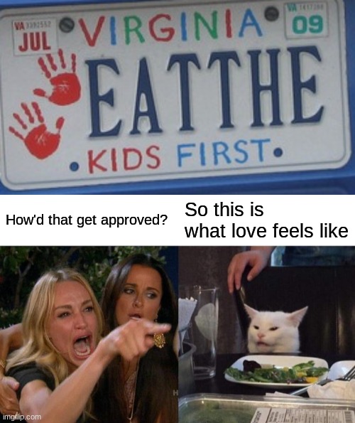 Honestly tho... | How'd that get approved? So this is what love feels like | image tagged in memes,woman yelling at cat,dark humor | made w/ Imgflip meme maker