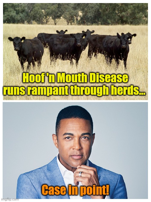 Moooooooo! | Hoof 'n Mouth Disease runs rampant through herds... Case in point! | made w/ Imgflip meme maker