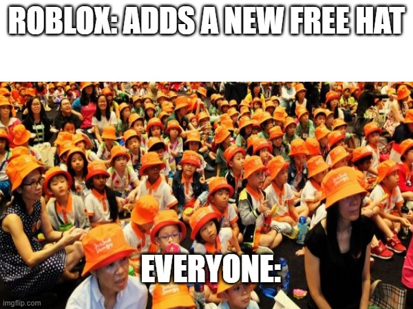 Roblox meme | ROBLOX: ADDS A NEW FREE HAT; EVERYONE: | image tagged in meme | made w/ Imgflip meme maker