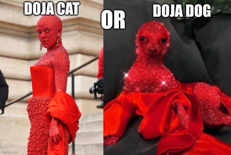 chose | OR; DOJA DOG; DOJA CAT | made w/ Imgflip meme maker