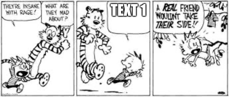 A real friend wouldn’t take their side blank | TEXT 1 | image tagged in a real friend wouldn t take their side blank | made w/ Imgflip meme maker