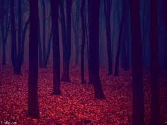 bro what is this | made w/ Imgflip meme maker