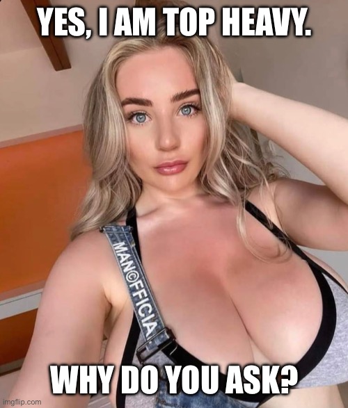 Top heavy | YES, I AM TOP HEAVY. WHY DO YOU ASK? | image tagged in funny memes | made w/ Imgflip meme maker