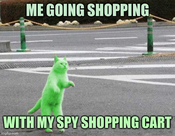 RayCat on the meowl | ME GOING SHOPPING; WITH MY SPY SHOPPING CART | image tagged in memes,raycat | made w/ Imgflip meme maker