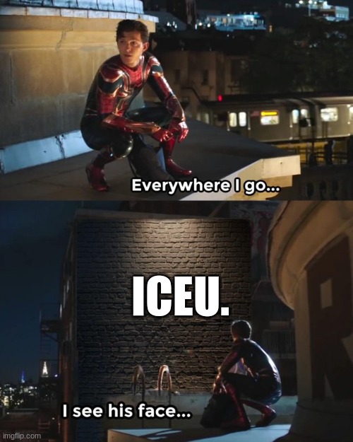 He's like a celebrity by now | ICEU. | image tagged in everywhere i go i see his face,iceu,spiderman | made w/ Imgflip meme maker
