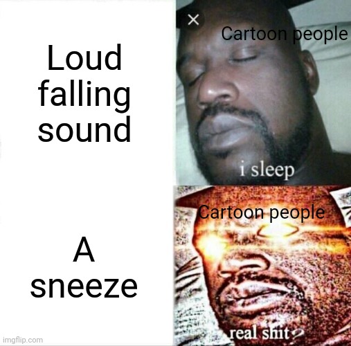 Ah, yes, logic. | Loud falling sound; Cartoon people; A sneeze; Cartoon people | image tagged in memes,sleeping shaq | made w/ Imgflip meme maker