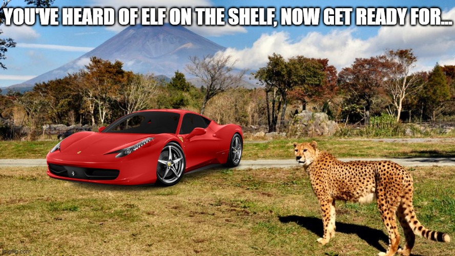 ...ferrari in the safari | YOU'VE HEARD OF ELF ON THE SHELF, NOW GET READY FOR... | image tagged in memes,funny,you've heard of elf on the shelf,ferrari,safari | made w/ Imgflip meme maker
