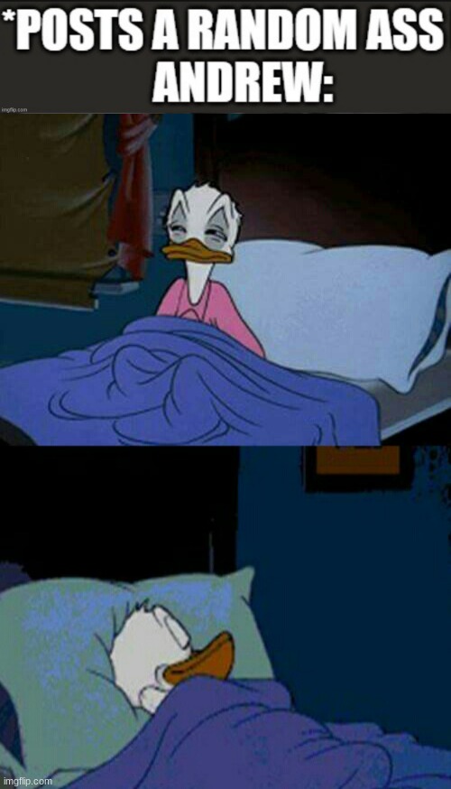 image tagged in sleepy donald duck in bed | made w/ Imgflip meme maker
