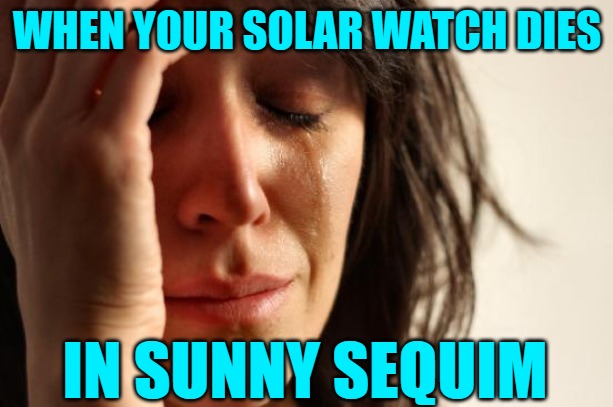 First World Problems Meme | WHEN YOUR SOLAR WATCH DIES IN SUNNY SEQUIM | image tagged in memes,first world problems | made w/ Imgflip meme maker