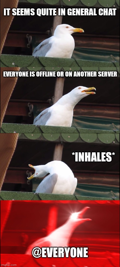 POV quiet Discord server | IT SEEMS QUITE IN GENERAL CHAT; EVERYONE IS OFFLINE OR ON ANOTHER SERVER; *INHALES*; @EVERYONE | image tagged in memes,inhaling seagull,discord | made w/ Imgflip meme maker