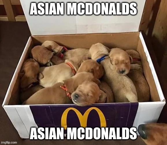 ASIAN MCDONALDS | ASIAN MCDONALDS; ASIAN MCDONALDS | image tagged in funny,funny memes | made w/ Imgflip meme maker