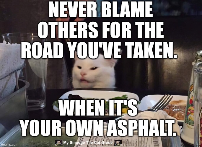 NEVER BLAME OTHERS FOR THE ROAD YOU'VE TAKEN. WHEN IT'S YOUR OWN ASPHALT. | image tagged in smudge the cat | made w/ Imgflip meme maker