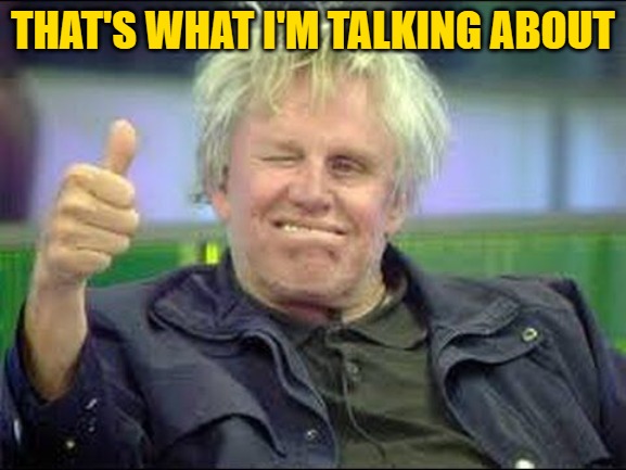 Gary Busey approves | THAT'S WHAT I'M TALKING ABOUT | image tagged in gary busey approves | made w/ Imgflip meme maker